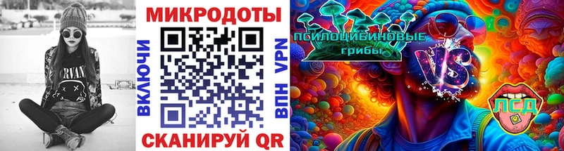 Псилоцибиновые грибы мицелий kraken зеркало Десногорск где можно купить наркотик